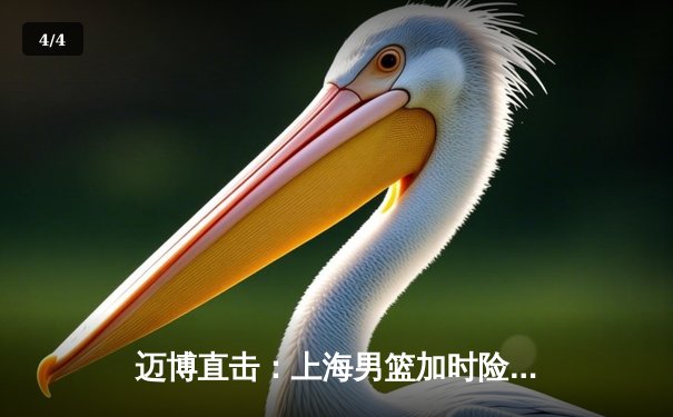 迈博直击：上海男篮加时险胜广东，王哲林33+16主宰内线 - 4